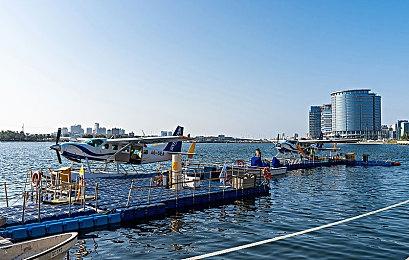 《全面战争：战锤3》全新食人魔王国基于引擎预告片